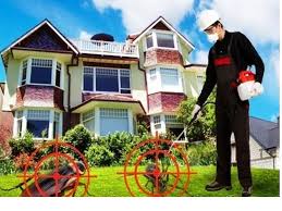 شركة رش مبيدات بجازان _شركة نور المملكة