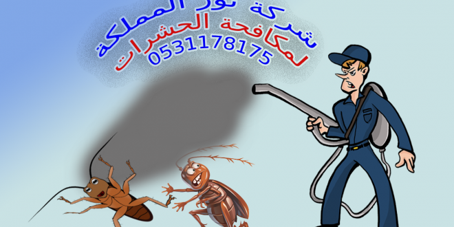 شركة رش مبيدات بجازان _ نور المملكة