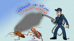 شركة مكافحة حشرات بجازان _ نور المملكة