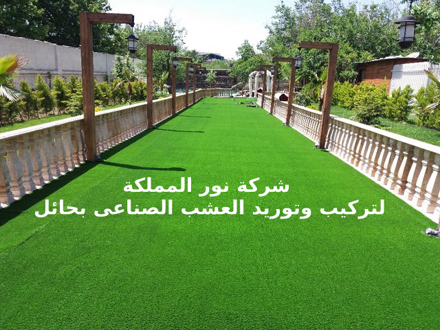 مؤسسة تركيب وتوريد عشب صناعي بحائل