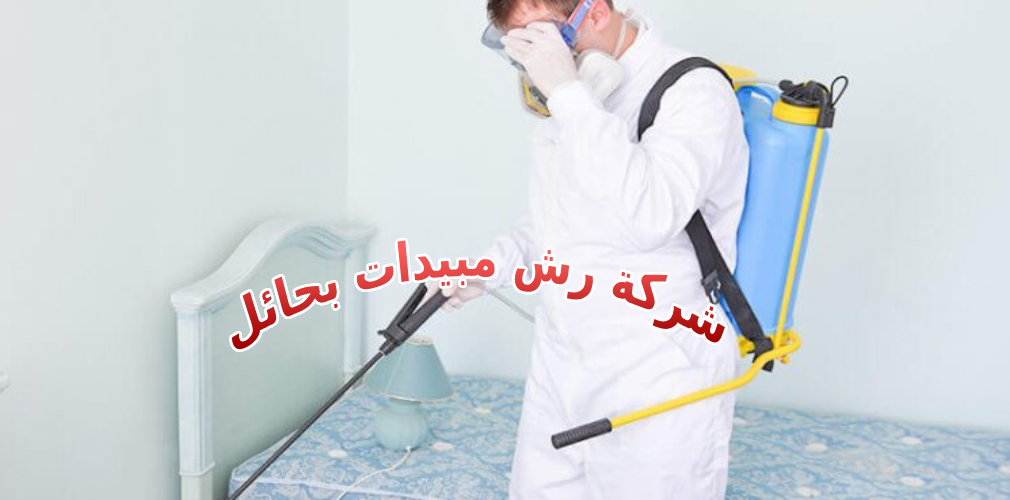 شركة رش مبيدات بحائل 0531178175