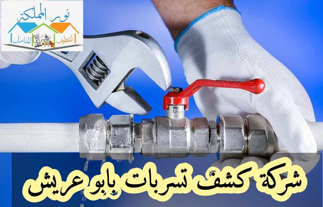 شركة كشف تسربات المياه بابو عريش