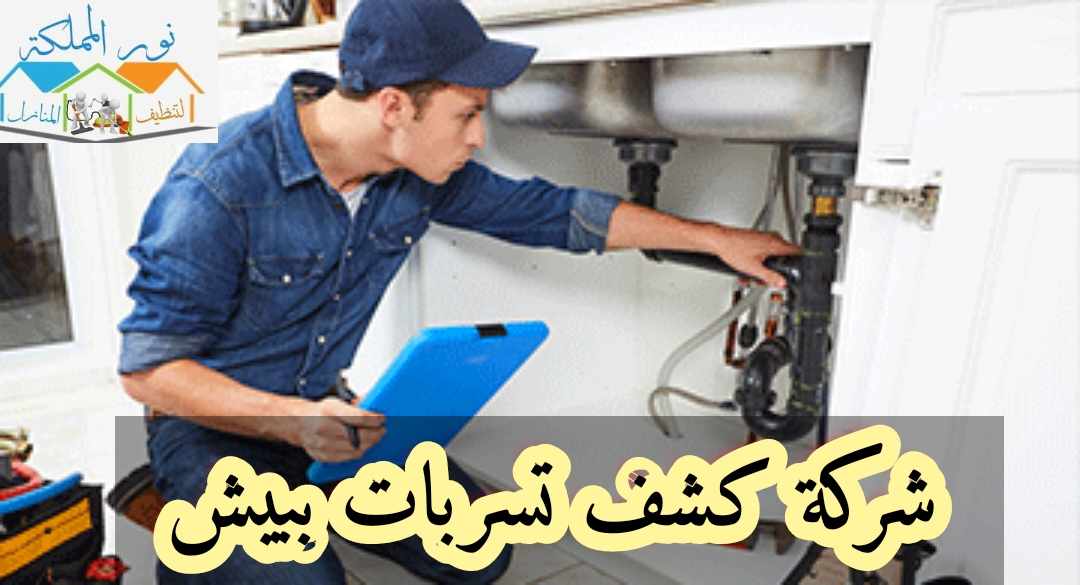 شركة كشف تسربات المياه ببيش