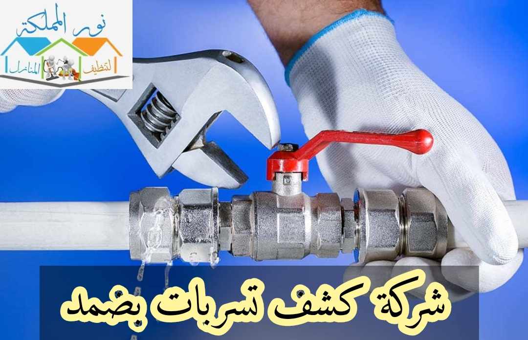 شركة كشف تسربات المياه بضمد