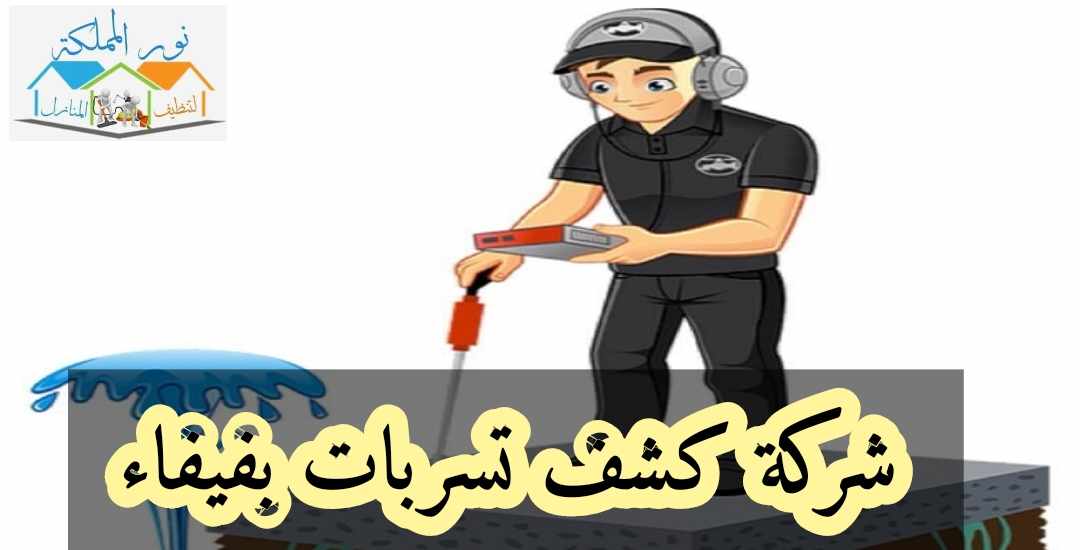 شركة كشف تسربات المياه بفيفاء