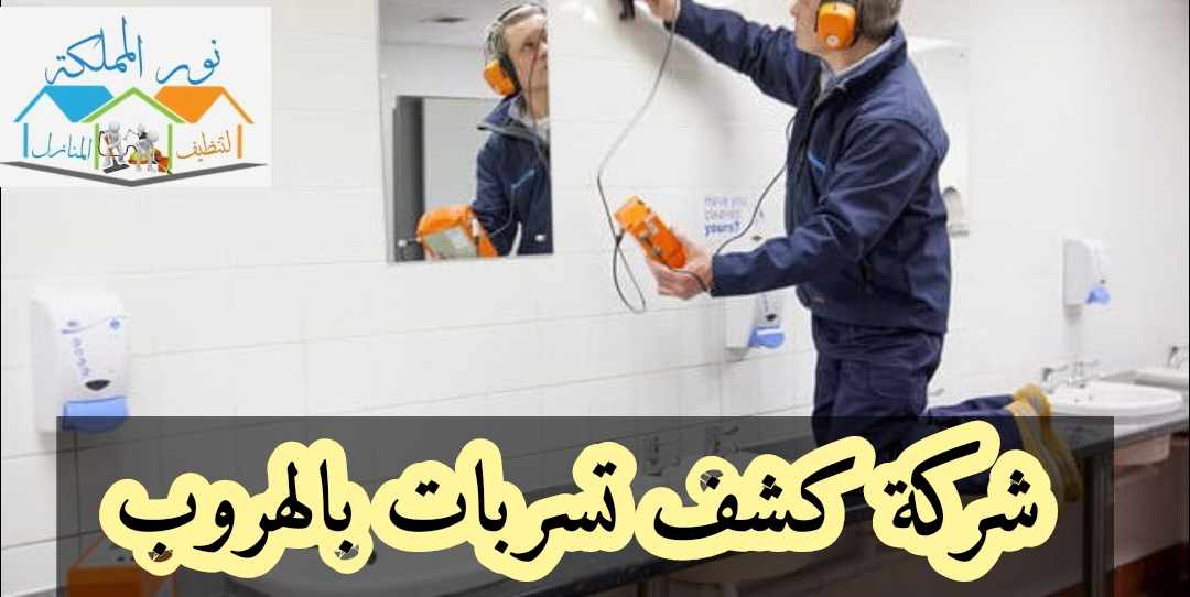 شركة كشف تسربات المياه بالهروب