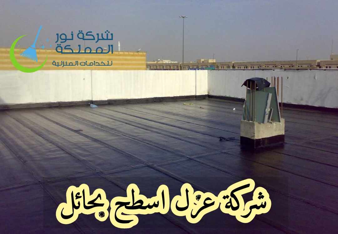 شركة عزل اسطح بحائل
