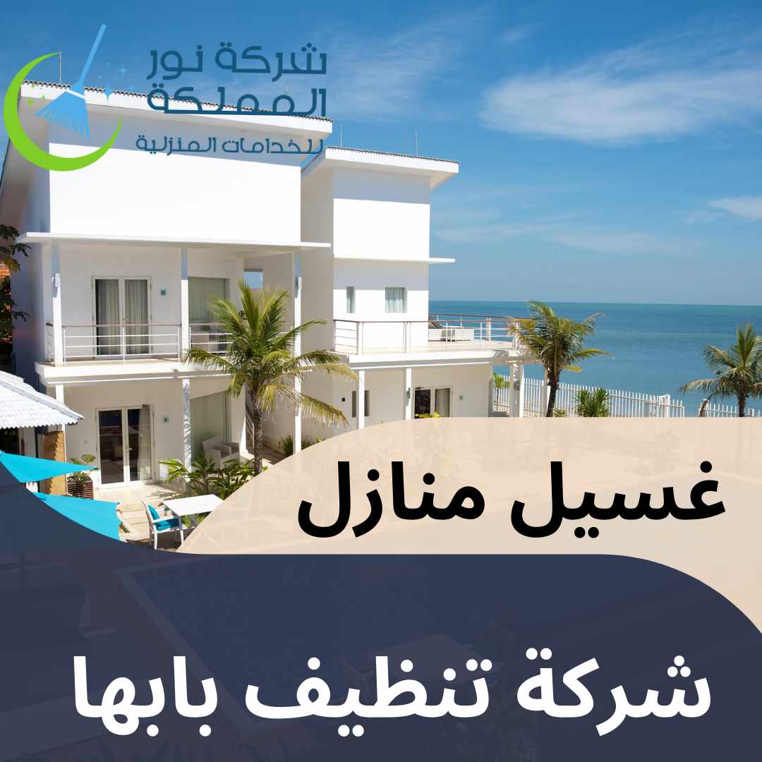 شركة تنظيف بابها