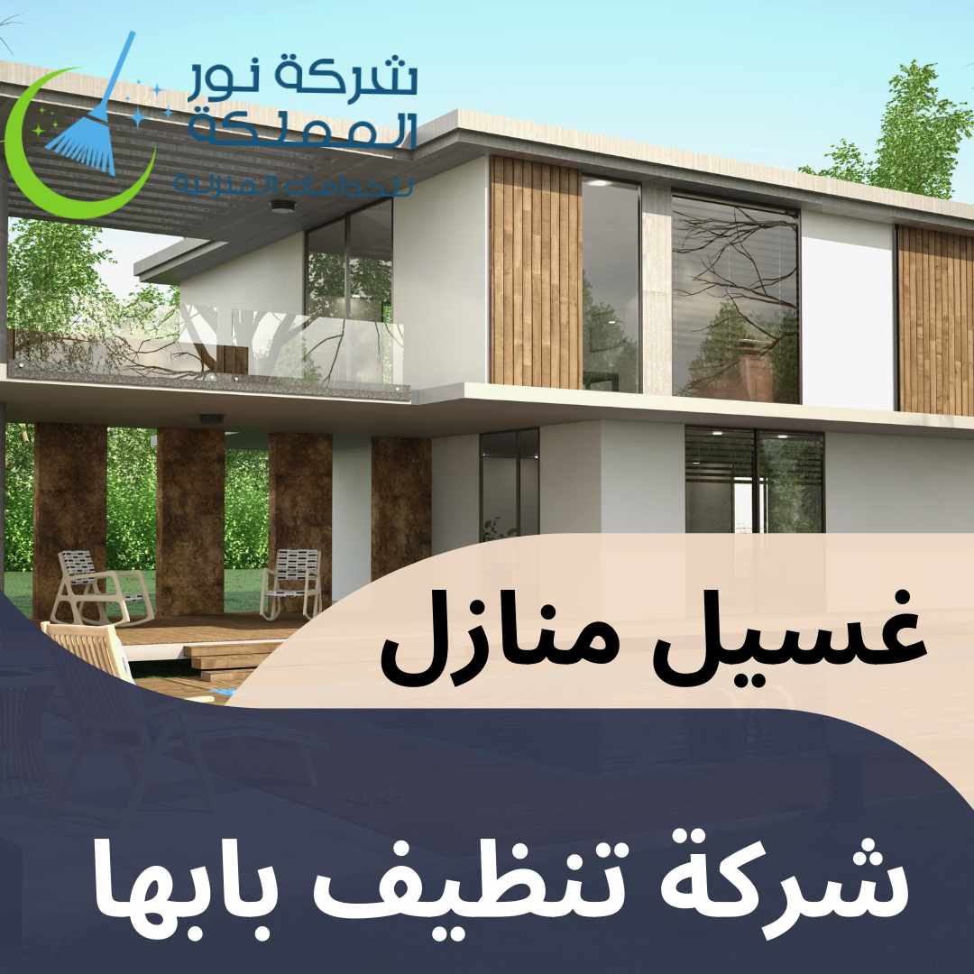 شركة تنظيف بابها