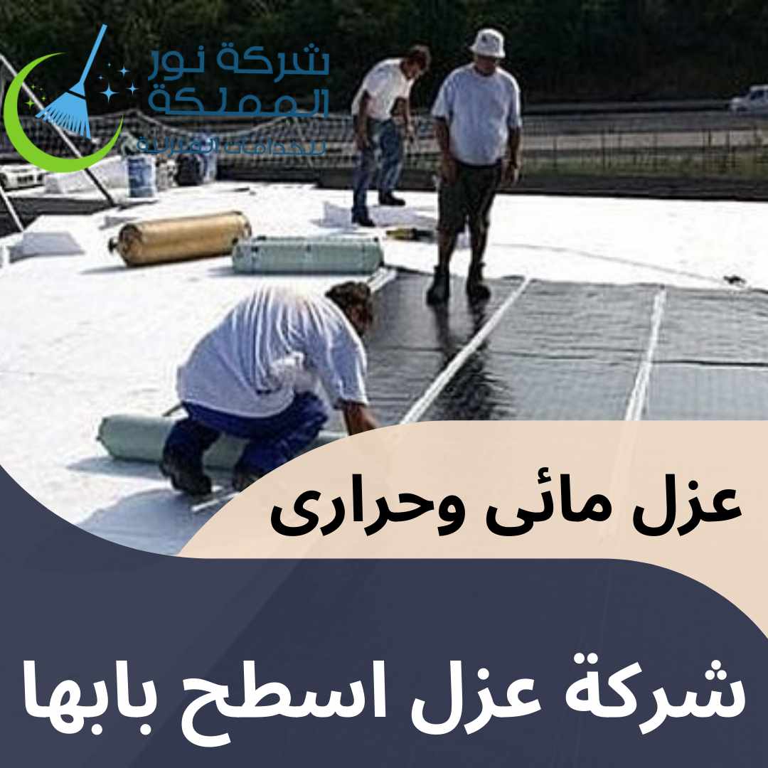 شركة عزل اسطح بابها