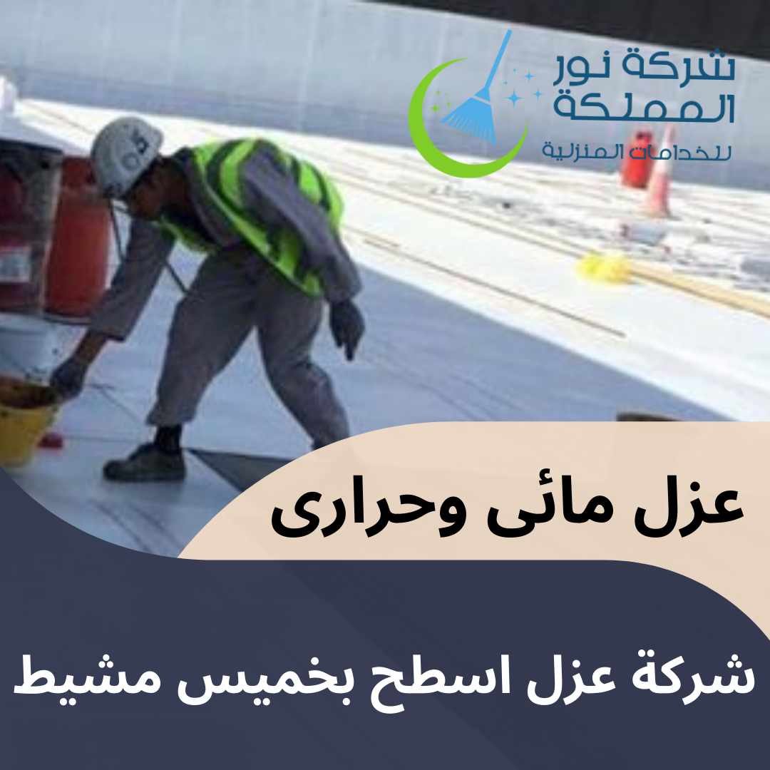 شركة عزل اسطح بخميس مشيط