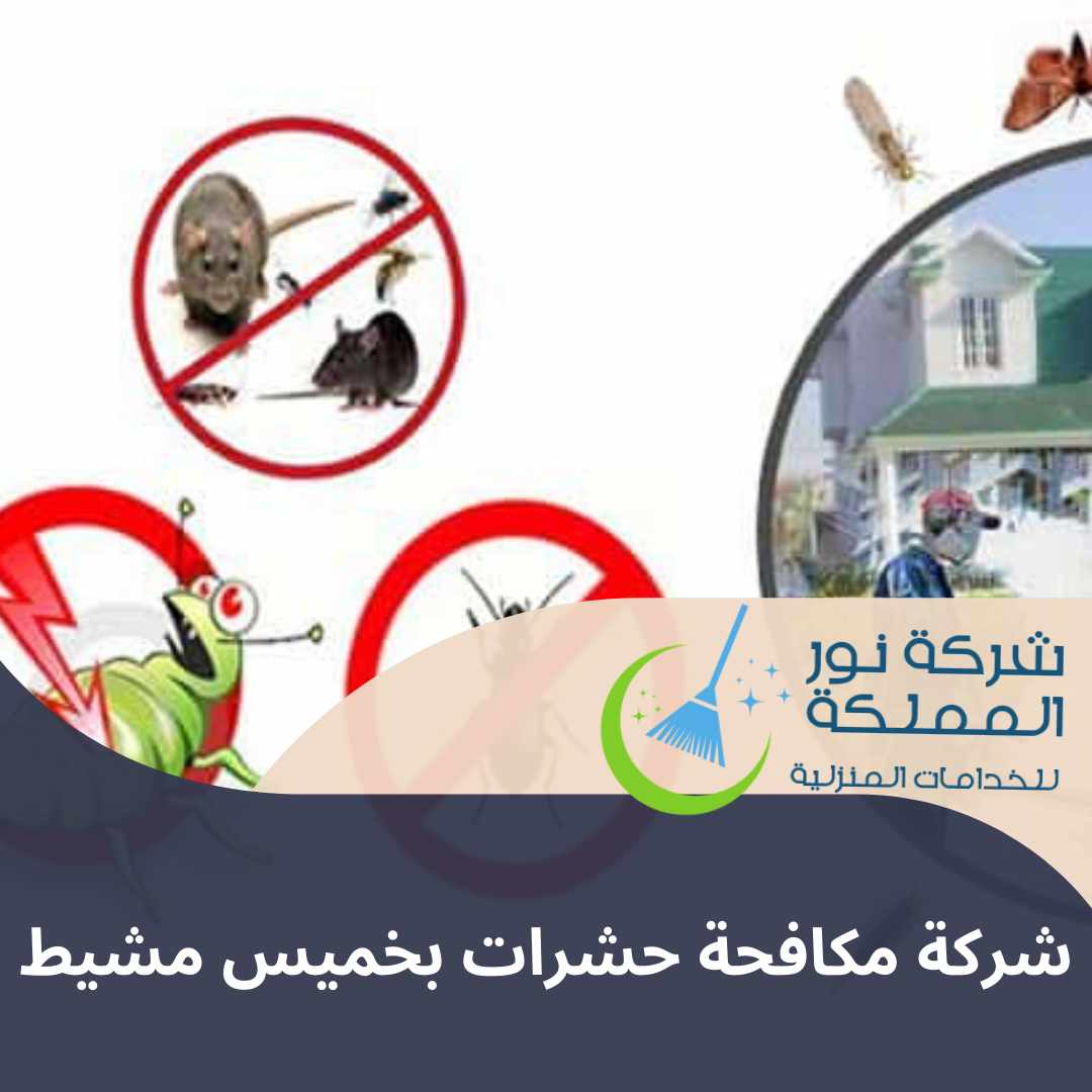 شركة مكافحة حشرات بخميس مشيط