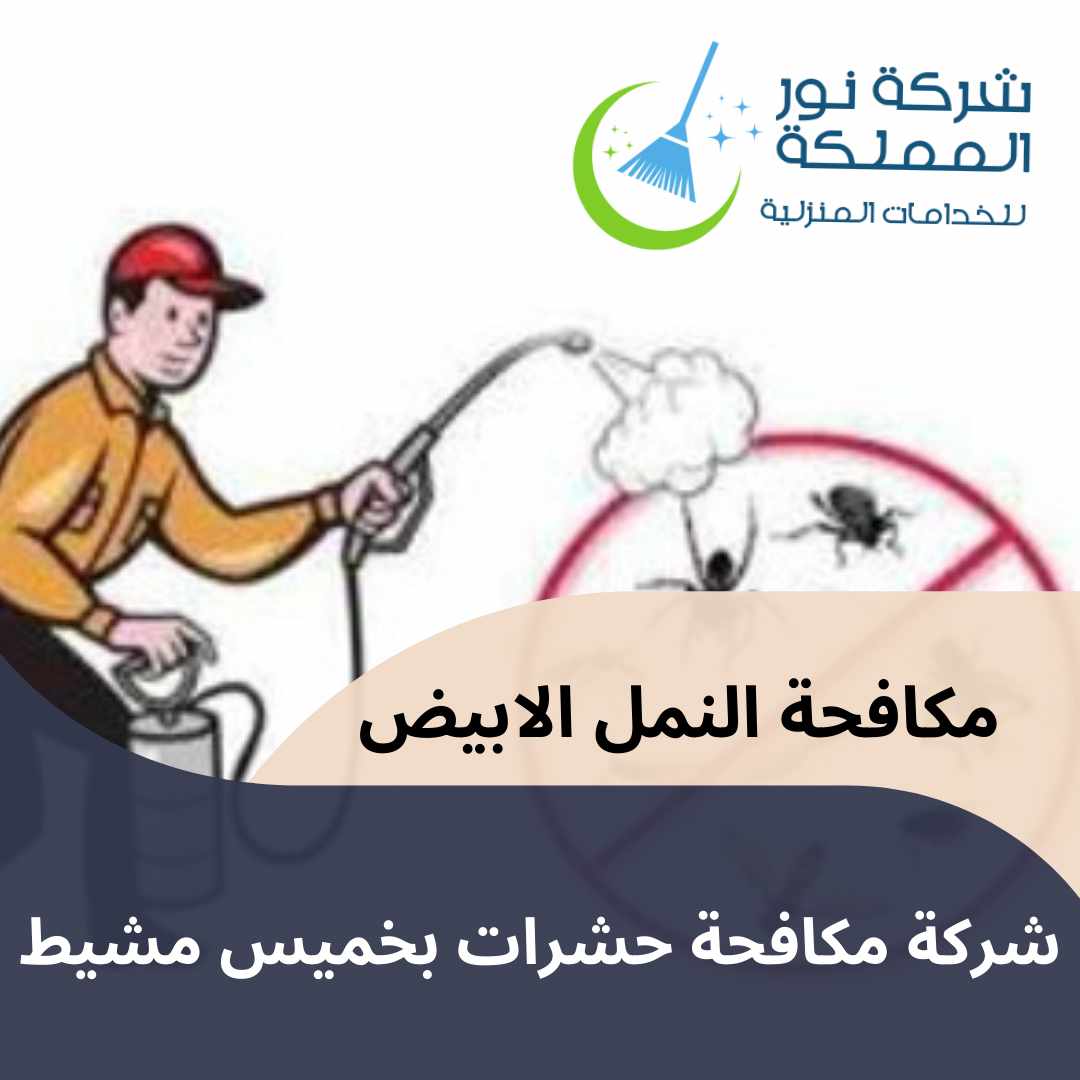 شركة مكافحة حشرات بخميس مشيط