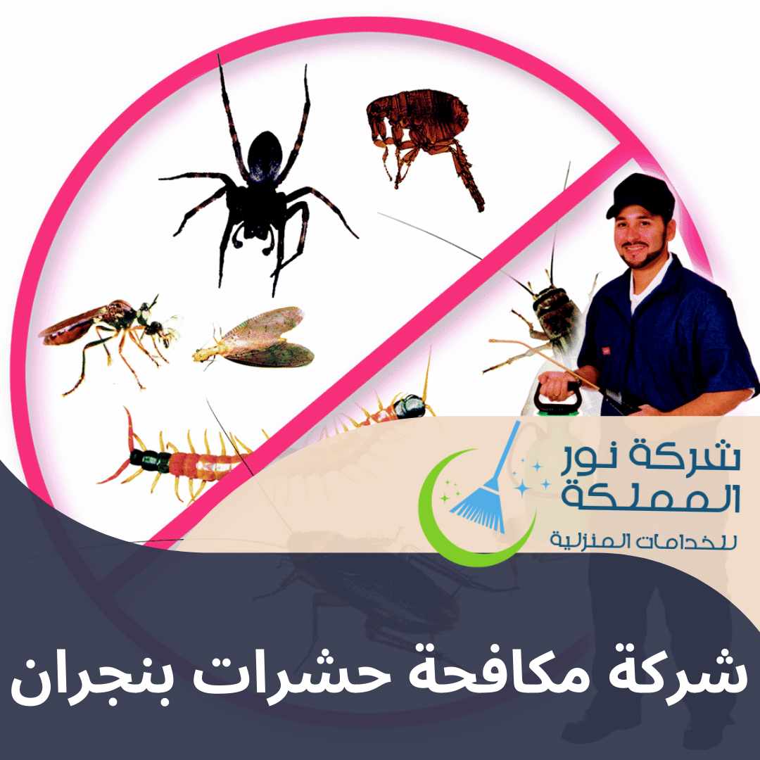 شركة مكافحة حشرات بنجران