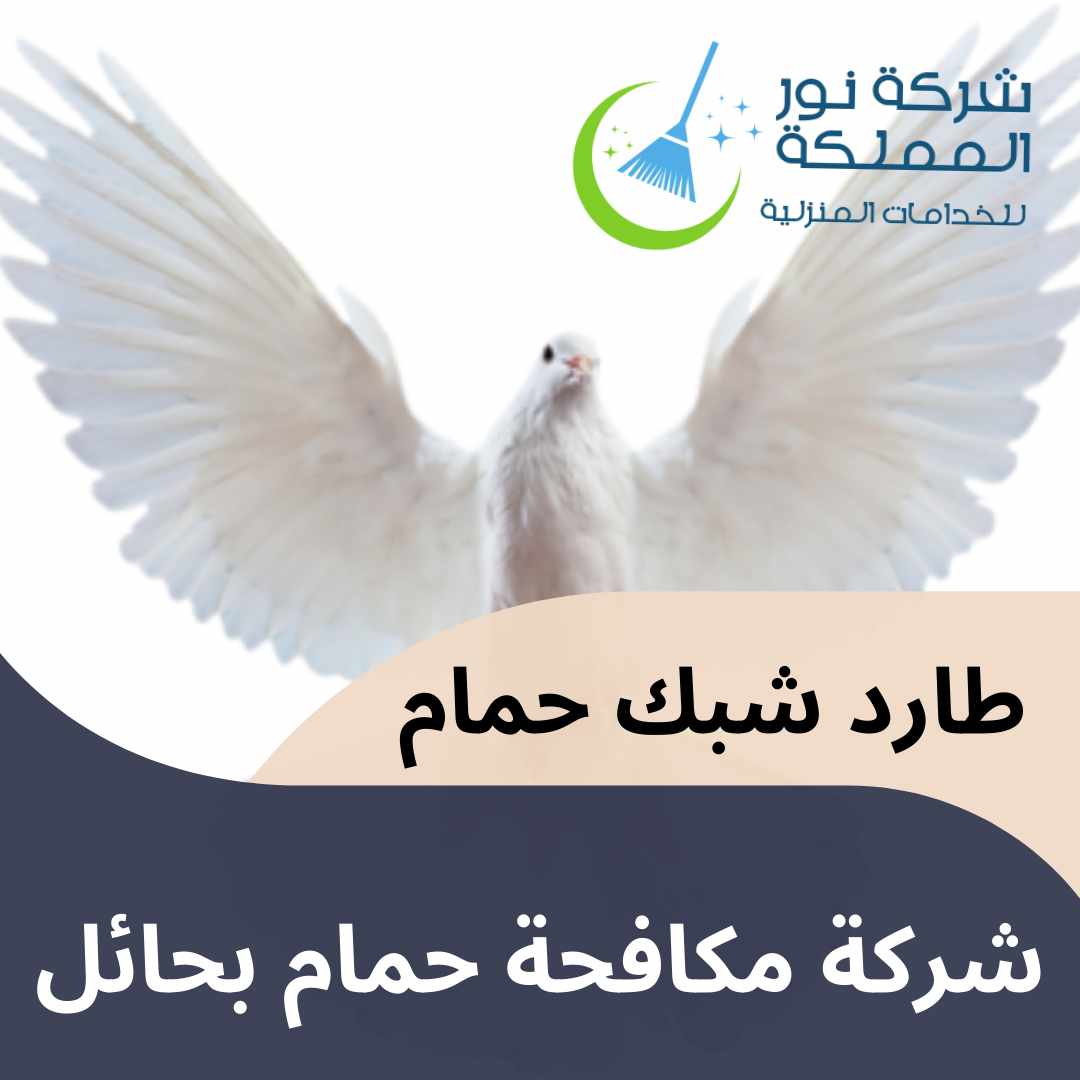 شركة مكافحة حمام بحائل