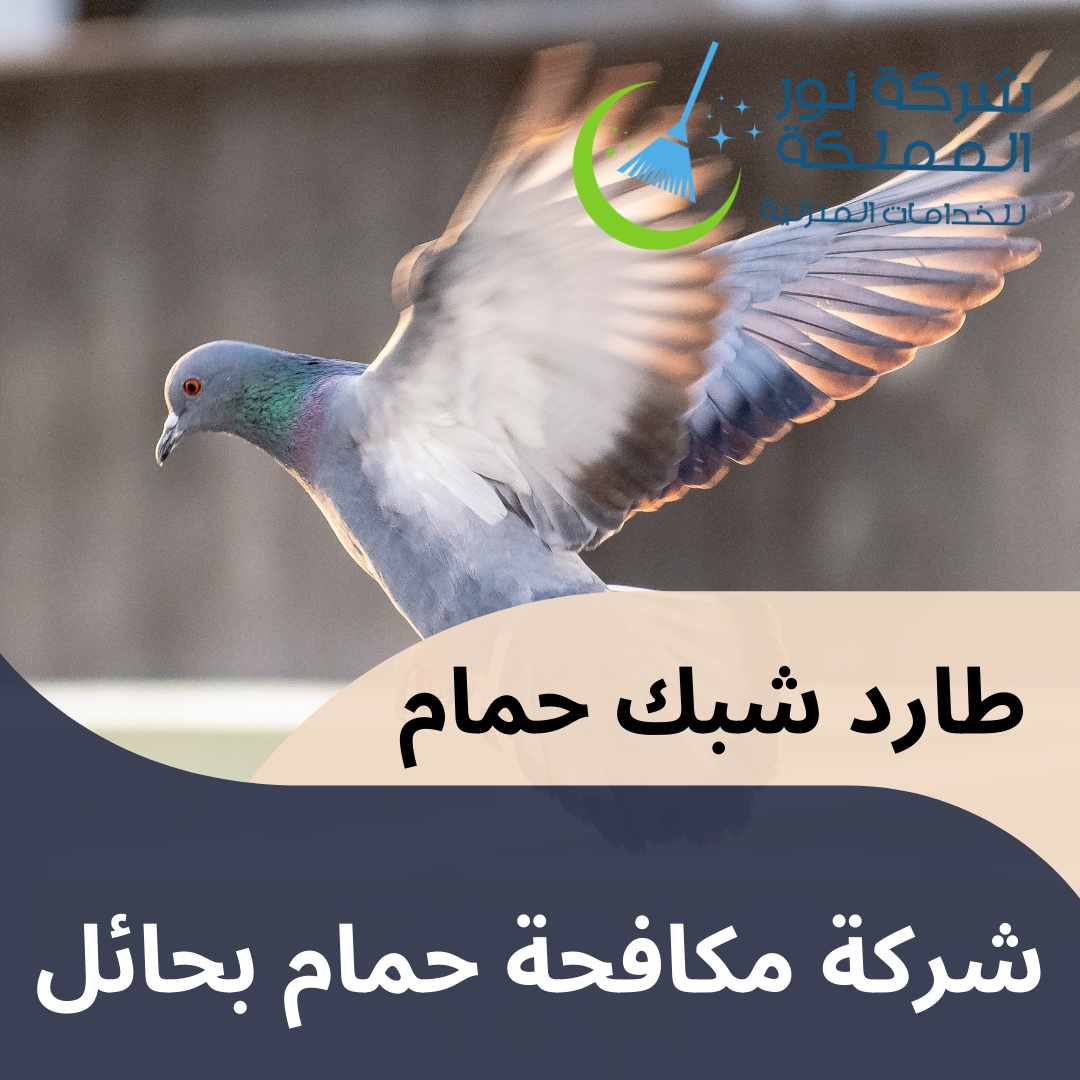 شركة مكافحة حمام بحائل
