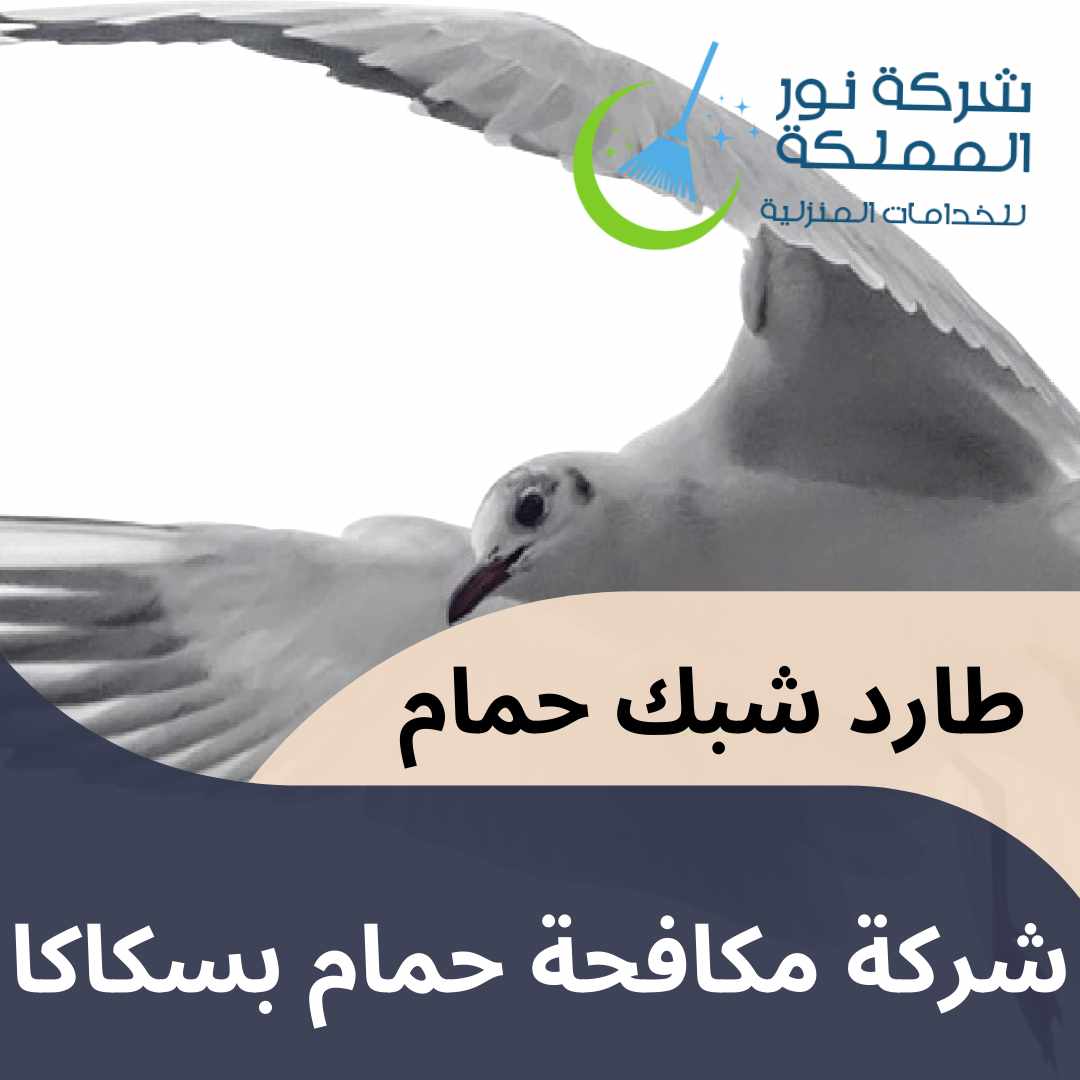 شركة مكافحة حمام بسكاكا