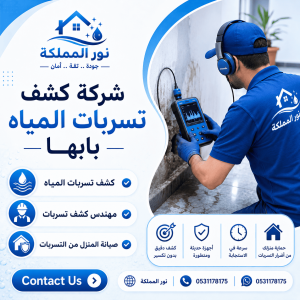 شركة كشف تسربات المياه بابها 