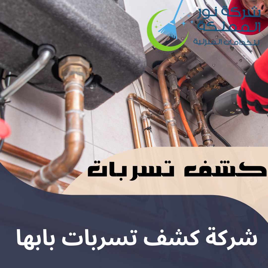 شركة كشف تسربات المياه بابها