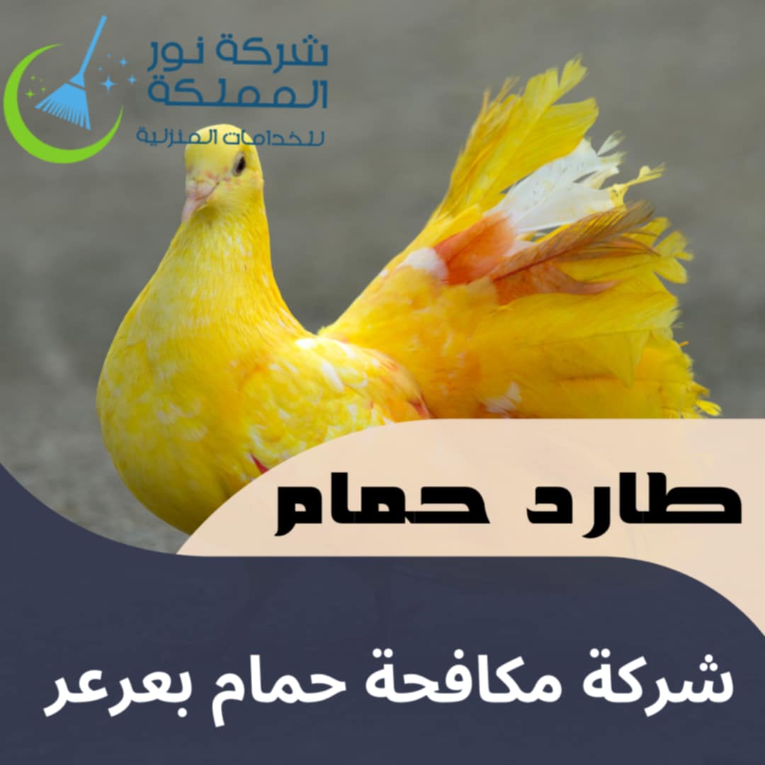 شركة مكافحة حمام بعرعر