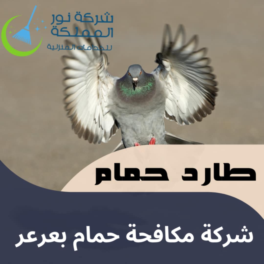شركة مكافحة حمام بعرعر