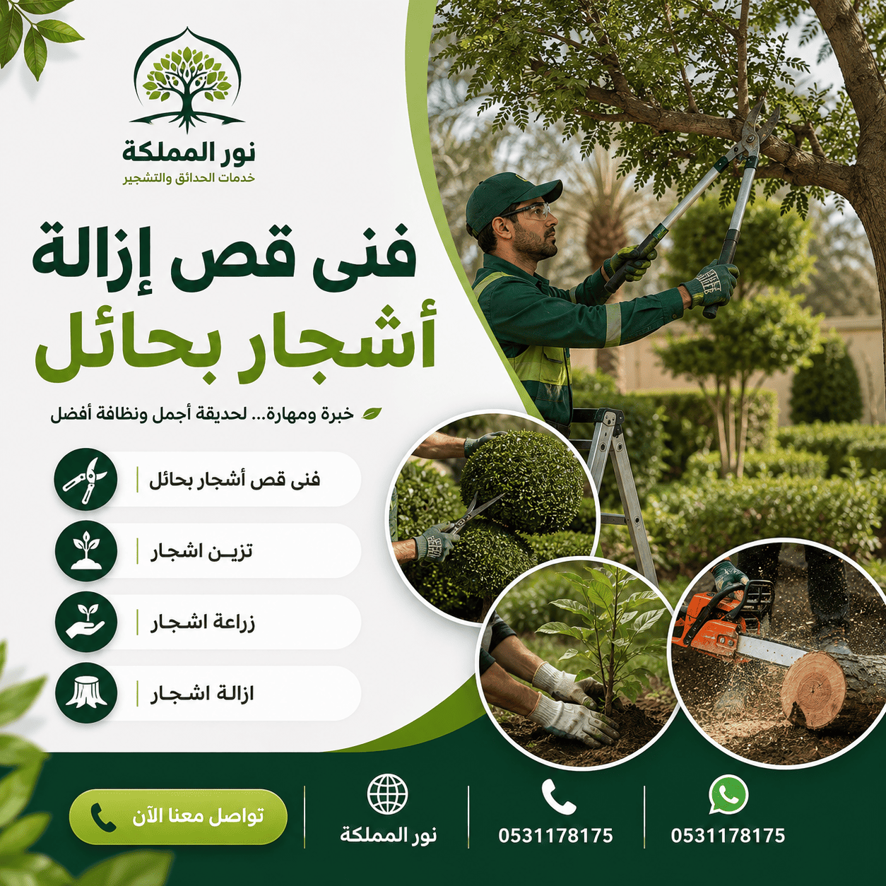 فنى قص إزالة أشجار بحائل