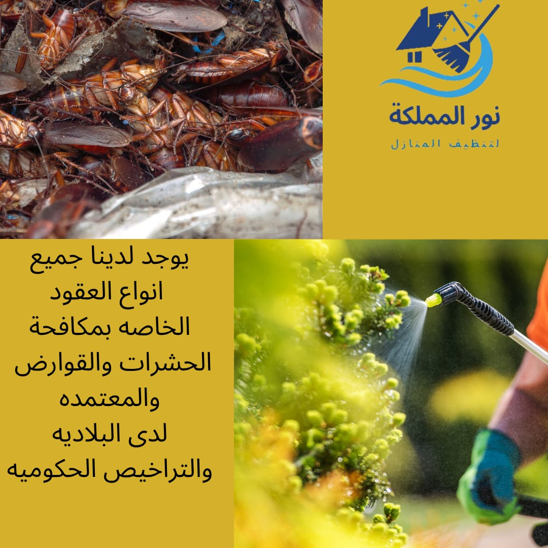 عقود سنويه لمكافحة الحشرات بالرياض