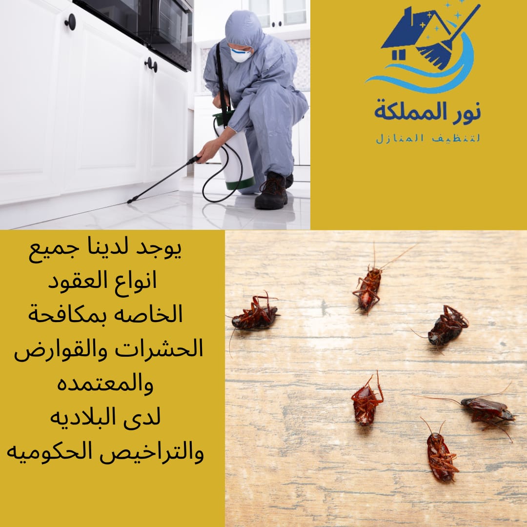 عقود سنويه لمكافحة الحشرات بالرياض